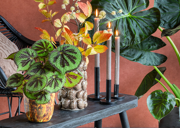 Bloempotten van EcoPots kopen | Tuincentrum Goessens