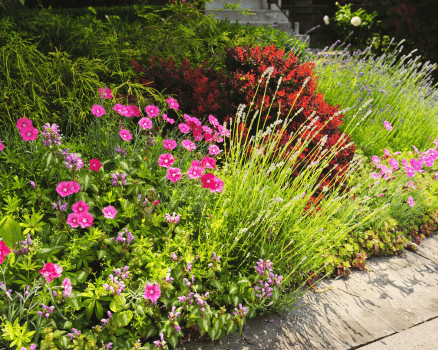 Bloemen in tuin in doorn