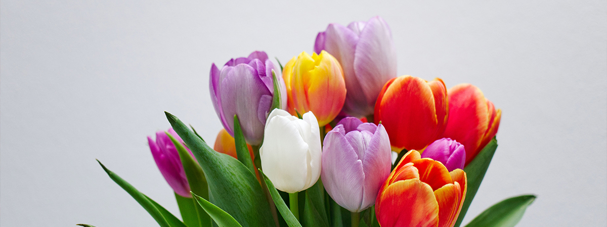 Kleurrijke voorjaars boeketten | Tuincentrum Goessens