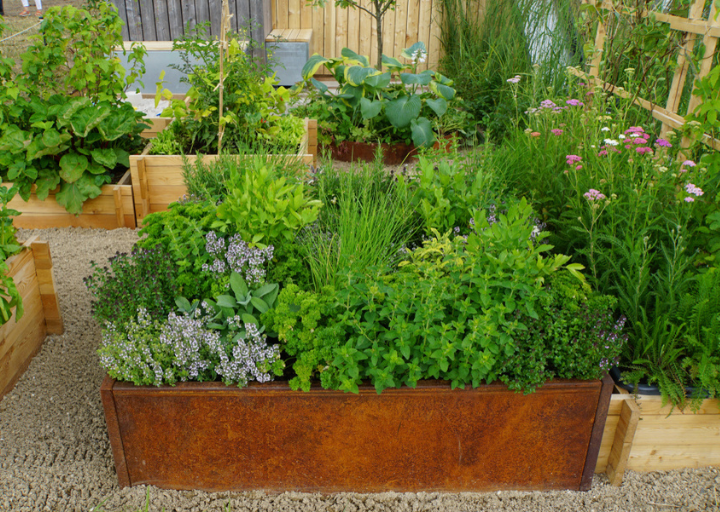 Moestuin | Tuincentrum Goessens