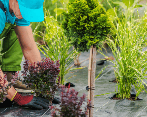 Afbeelding van tuinonderhoud