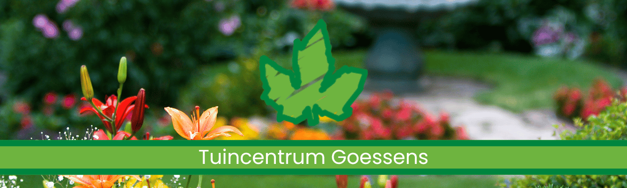 Goessens