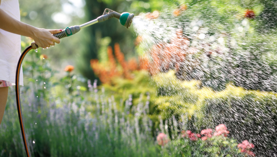 Bewatering | tuincentrum Goessens Aaigem, Erpe-Mere