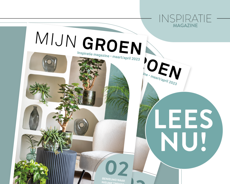 Hangplanten | Tuincentrum Goessens in Aaigem, Erpe-Mere