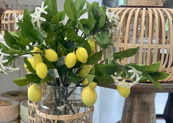 Woon decoratie | Tuincentrum Goessens