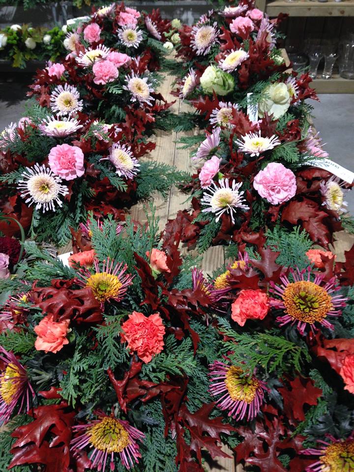 Prachtige bloemen bij Tuincentrum Goessens nabij Gent