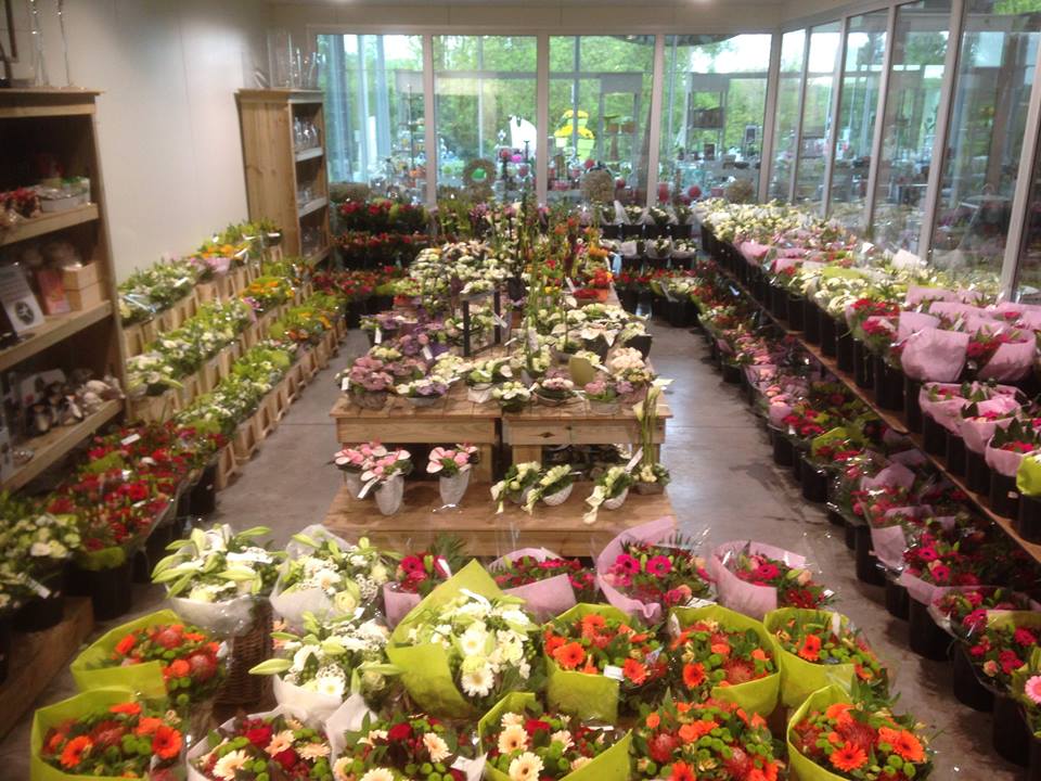 Bloemen kopen nabij Wetteren bij Tuincentrum Goessens