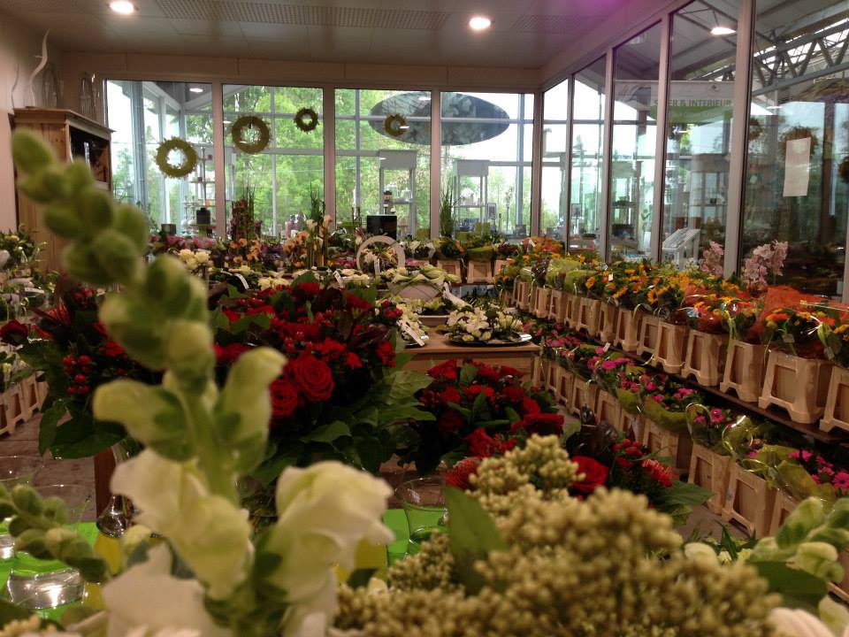 De bloemenwinkel van Tuincentrum Goessens nabij Gent heeft een breed assortiment