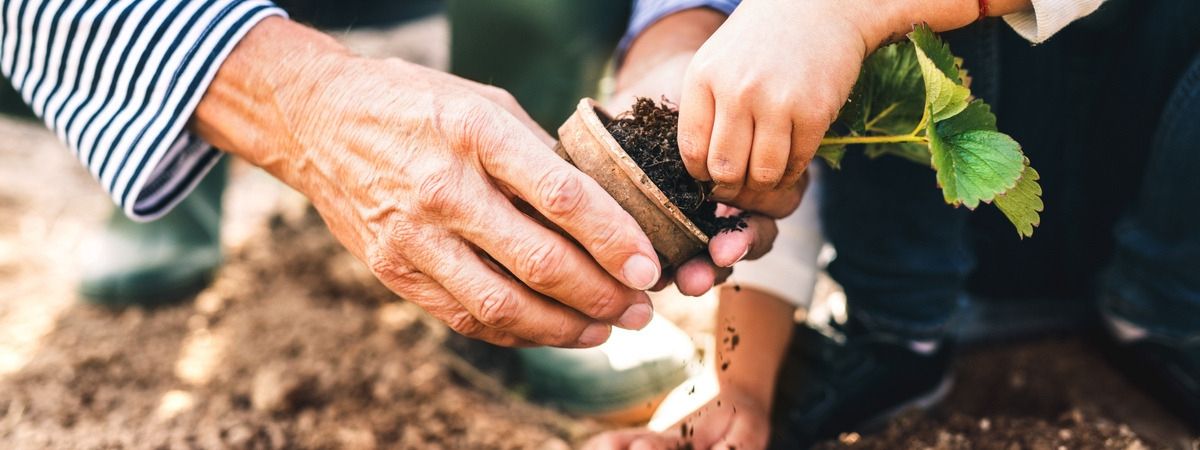 grondsoorten, tuinaarde, zand kopen in Erpe Mere Be