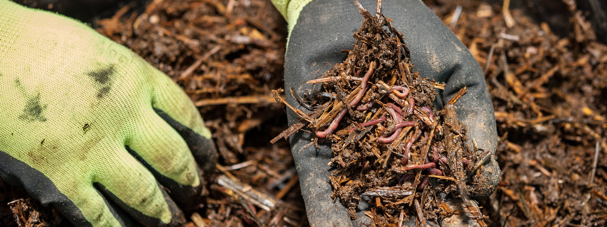 COMPOST ZELF MAKEN OF COMPOST KOPEN?