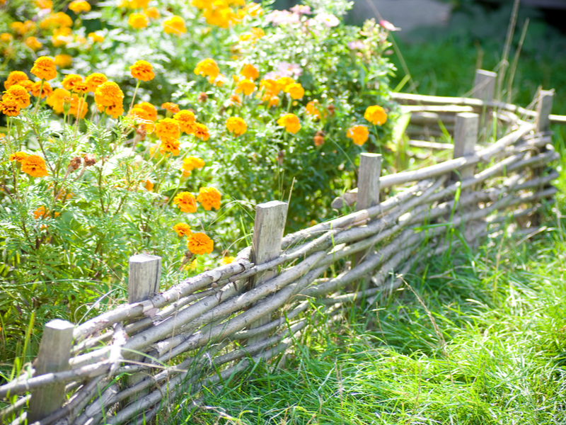 Diervriendelijke tuin | Tuincentrum Goessens