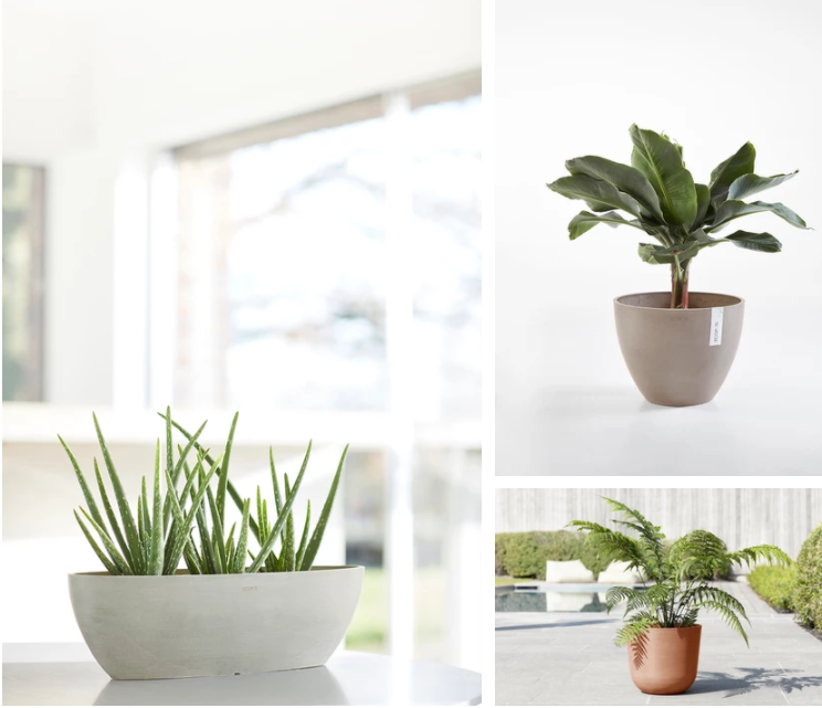 Ecopots kopen | Tuincentrum Goessens