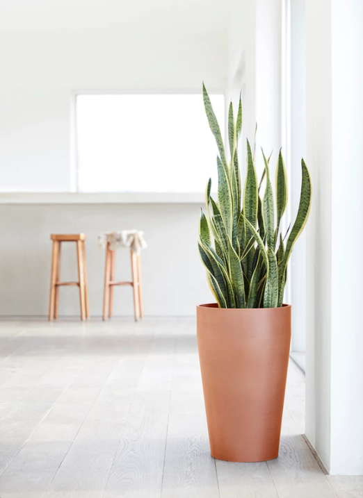 Ecopots kopen | Tuincentrum Goessens