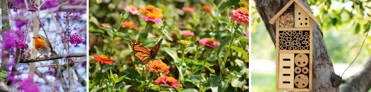 Diervriendelijke tuin | Tuincentrum Goessens