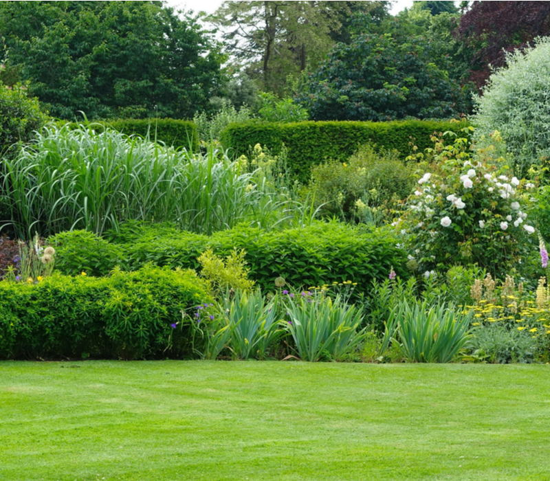 Wateroverlast tegengaan | Tuincentrum Goessens