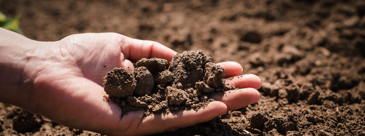 kunstmest, potgrond, moestuin bemesten