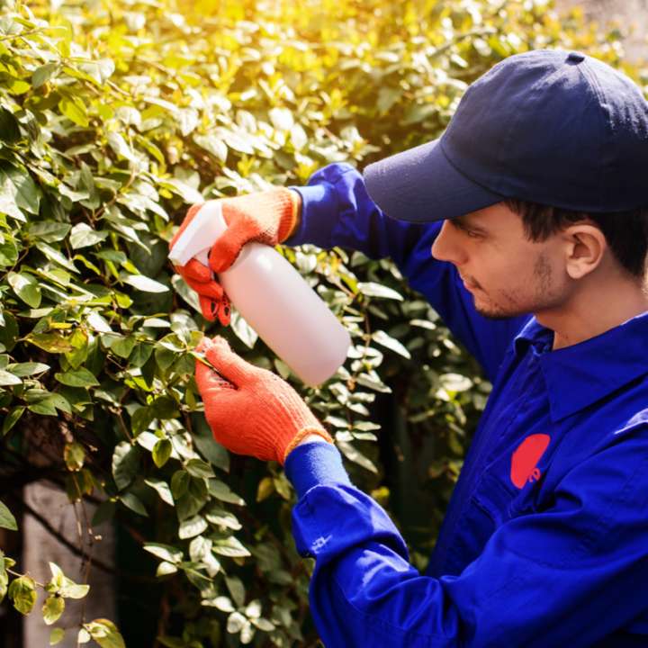 Gewasbescherming | Bestrijdingsmiddelen kopen | Tuincentrum Goessens