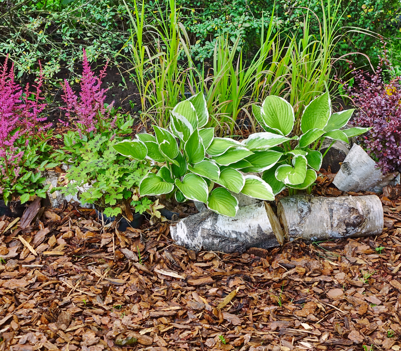 Wateroverlast tegengaan | Tuincentrum Goessens