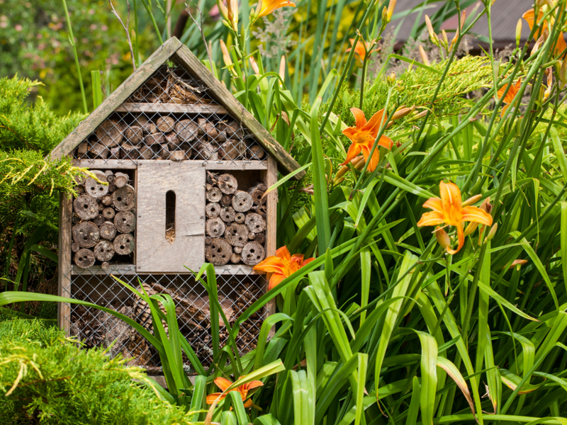 Diervriendelijke tuin | Tuincentrum Goessens