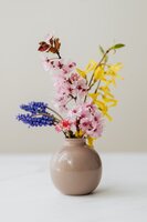 Bloemen Aaigem Bloemen Aaigem