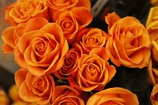 Bloemen Laarne Bloemen Laarne