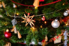 Kerstboom Brussel