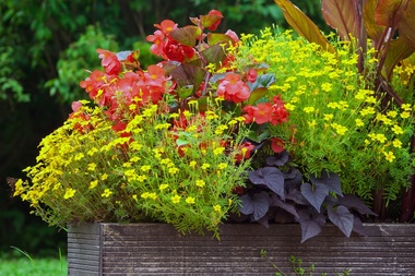 15 tuintips voor september