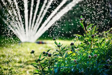 Bewatering in april