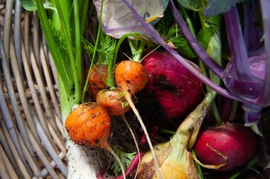 De moestuin in maart