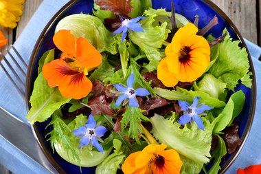 Planten met eetbare bloemen