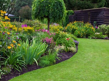 Zo combineer je éénjarige planten met vaste planten