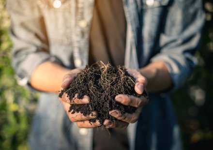 Zelf compost maken of kopen? | Tuincentrum Goessens