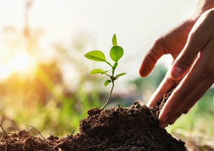 Grondsoorten voor de mooiste tuin | Goessens