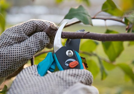 Aan de slag met handgereedschap voor de zomerse tuin | Goessens