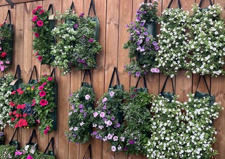 Wandhanger bloemen & planten | Goessens