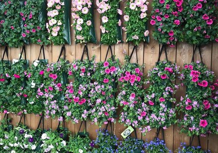 Wandhanger bloemen & planten | Goessens