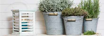 Zinken Bloempotten | Groot Assortiment Potterie