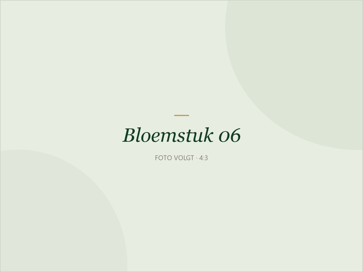 Bloemstuk 06: Chrysantenschaal in oranje
