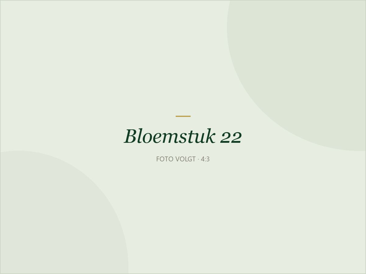 Bloemstuk 22: Herfststuk in gemengd