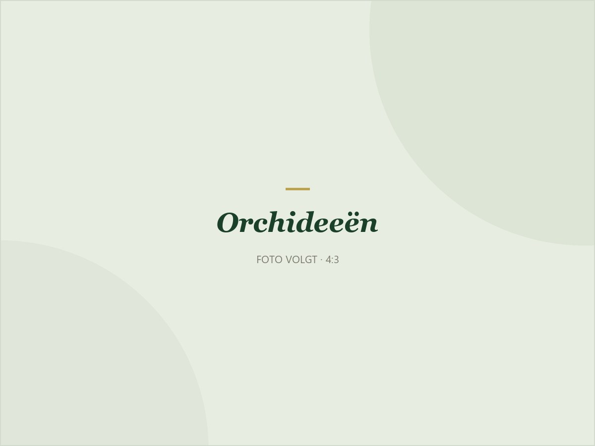Orchideeën