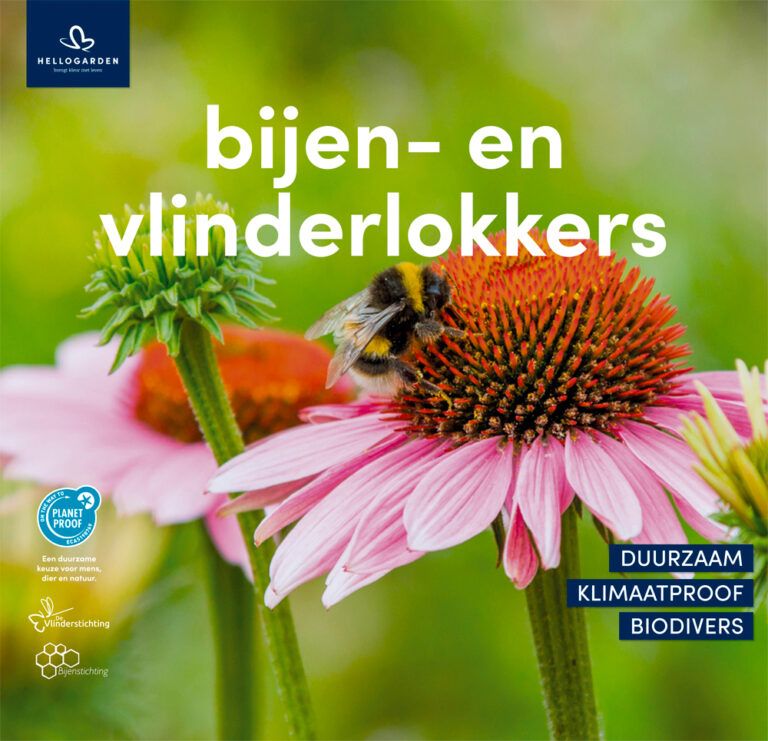 Zonnehoed met hommel