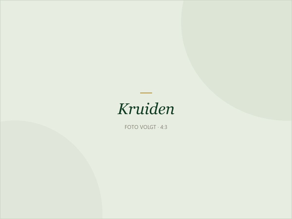 Kruidenplanten