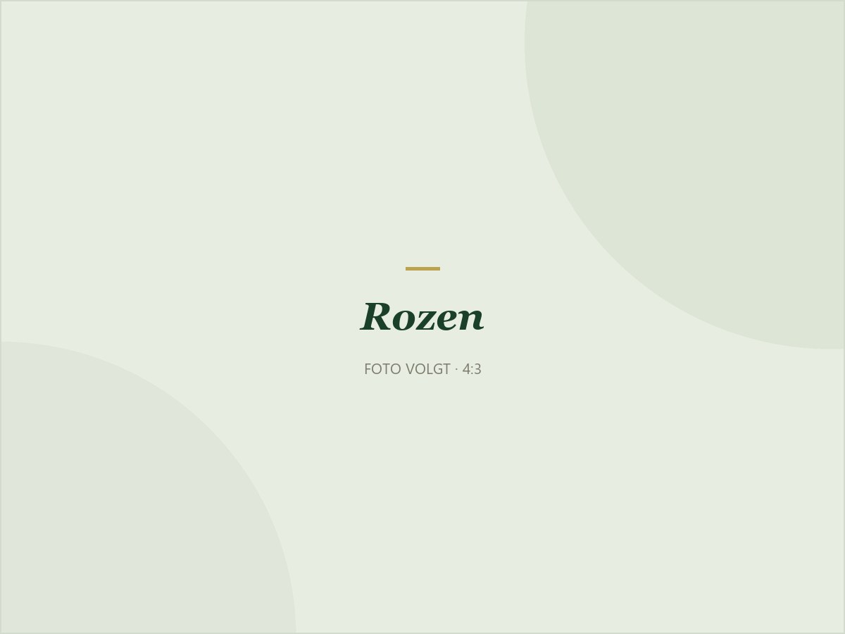 Rozen